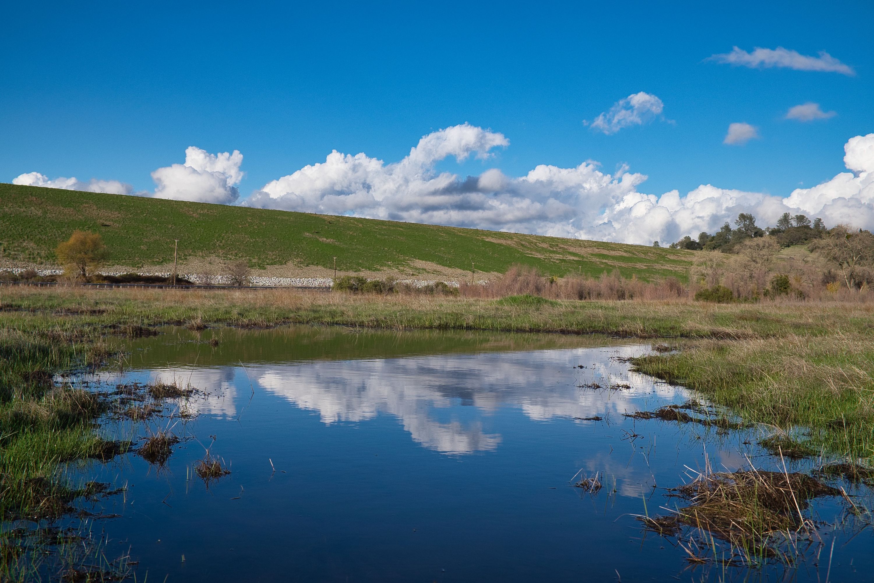 Folsom, CA