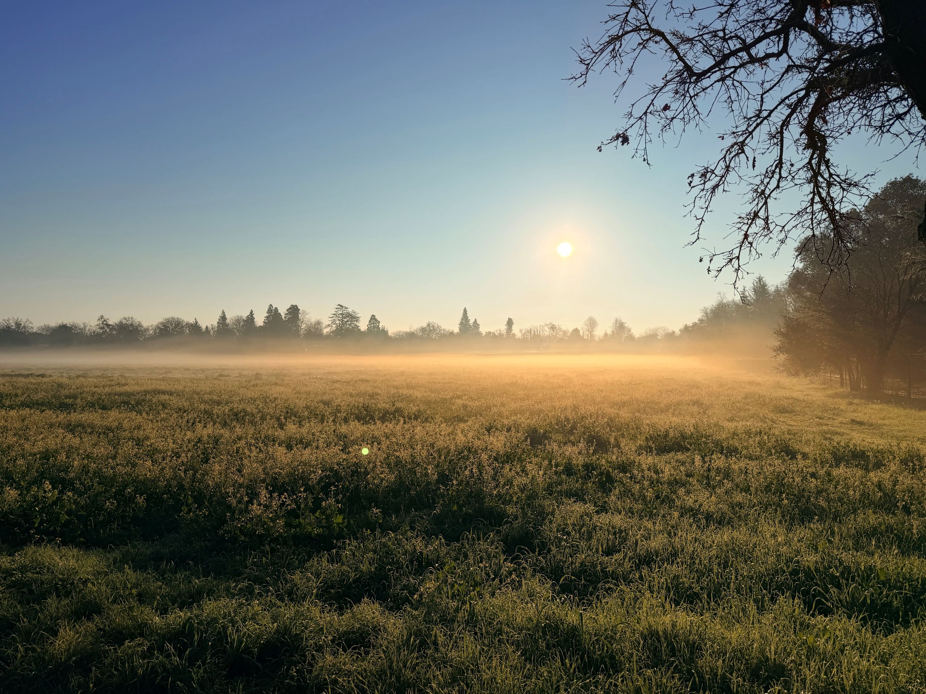 Rancho Cordova Shutterstock 2726000111